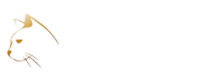 PsyNotes