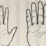 科学が暴いた「指の長さ」に隠れる驚愕の真実